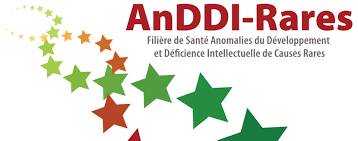 E-RDV des associations AnDDI-Rares « Démarches MDPH »
